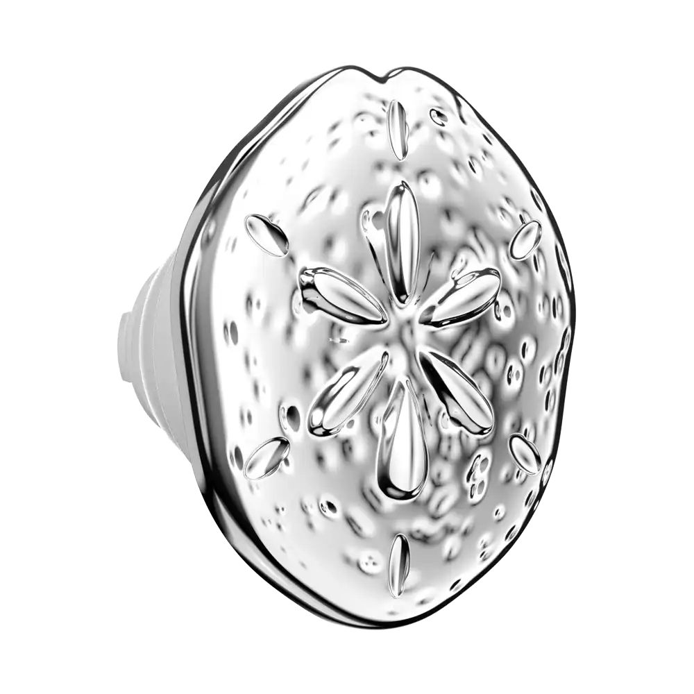 Enamel Silver Dollar — MagSafe PopGrip