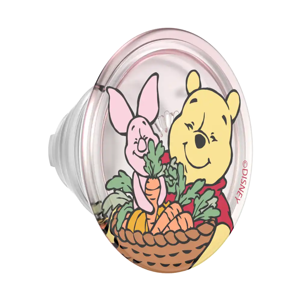 Harvest Friends — MagSafe PopGrip