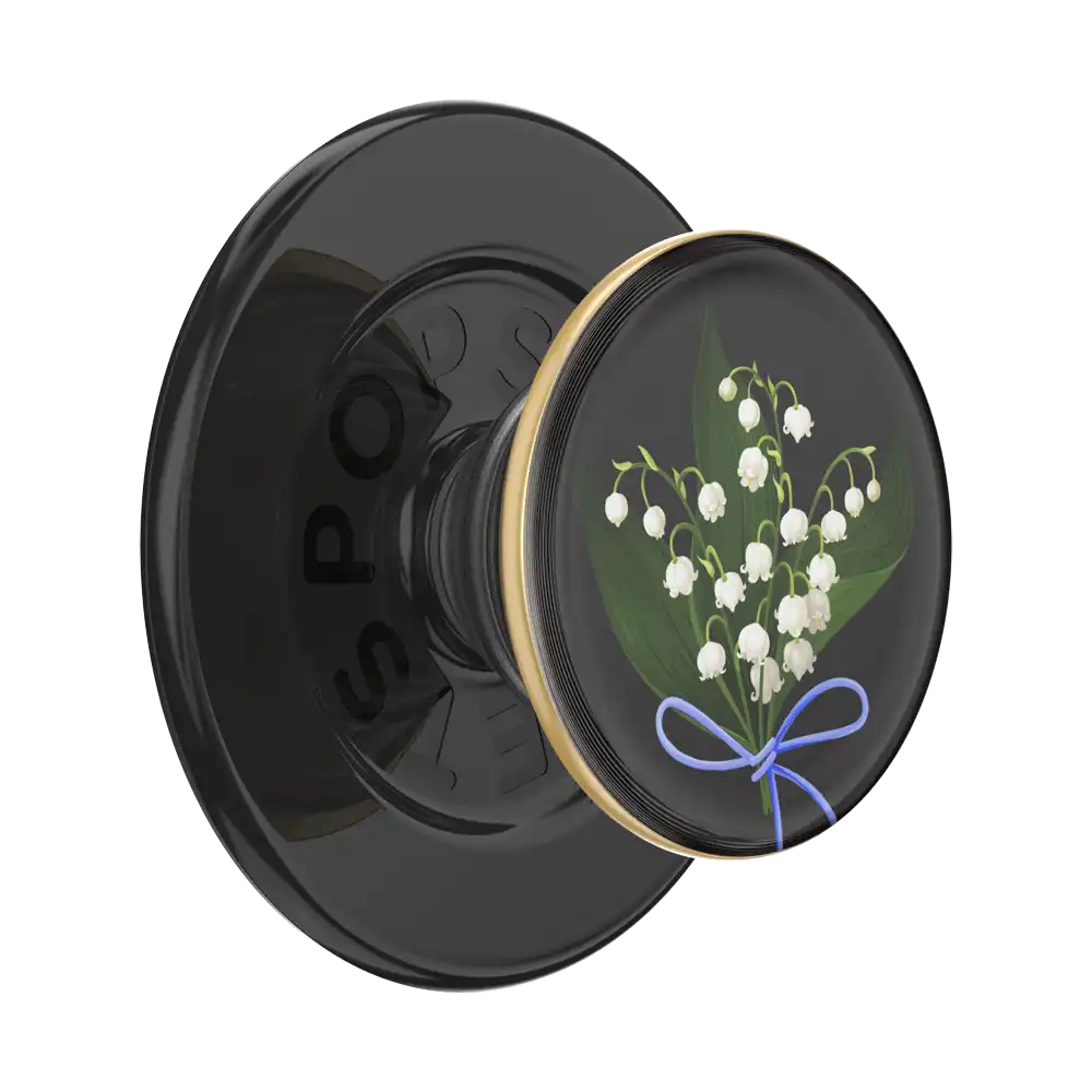 Koi Pond — MagSafe PopGrip