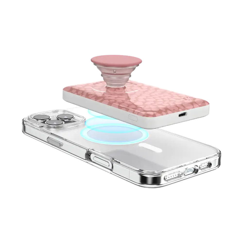 Horchata Fossil — MagSafe PowerPack